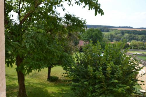 two trees in a field with a river in the background at Chambres d'Hôtes Le Moulin à Epices in Chargey-lès-Gray