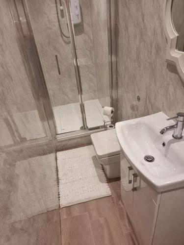 a bathroom with a shower and a sink and a toilet at Carlisle City Centre, Cute Victorian House. in Carlisle