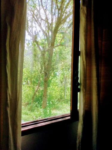 Allegra casas de campo – Photos 5
