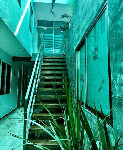 a staircase in an abandoned building with blue walls and grass at Zyan Rooms in Villahermosa