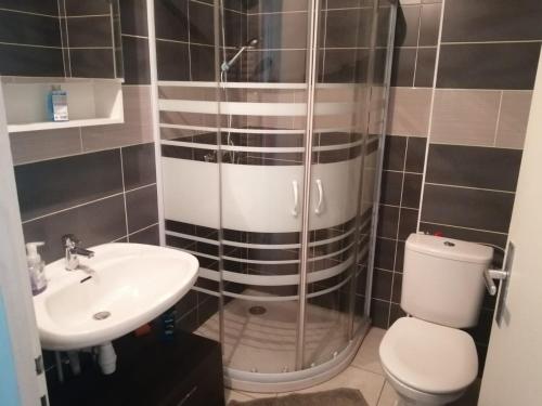 une salle de bain avec une douche, des toilettes et un lavabo dans l'établissement Location d'appartement entièrement meublé près de Genève, à Annemasse