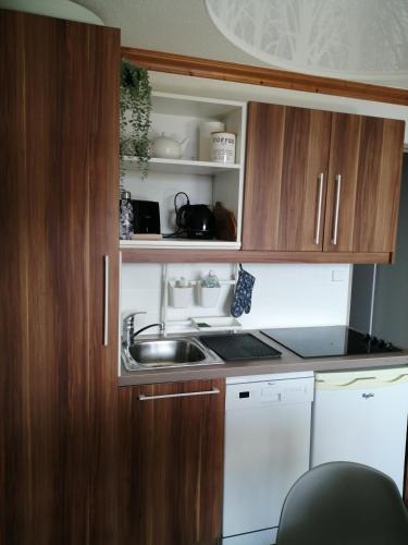 Il comprend une petite cuisine équipée d'un évier et d'un lave-vaisselle. dans l'établissement Les Bergers Alpe d'Huez Pied des pistes et piscine, à Huez