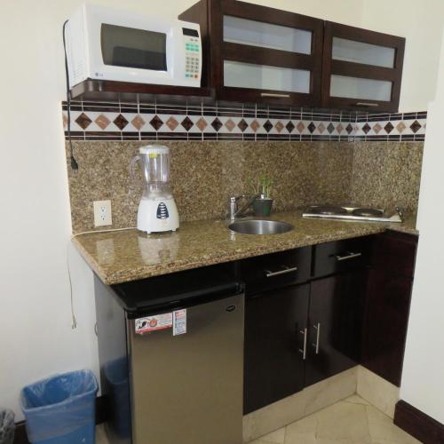 a kitchen counter with a sink and a blender at Suites Melchor Ocampo 445 in Mexico City
