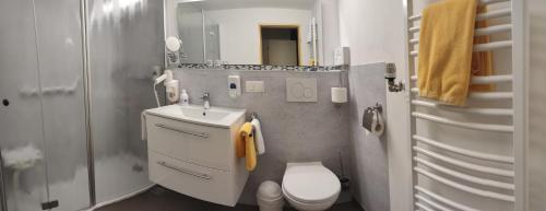 La salle de bains est pourvue de toilettes, d'un lavabo et d'une douche. dans l'établissement Bad Pyrmonter Hof, à Bad Pyrmont