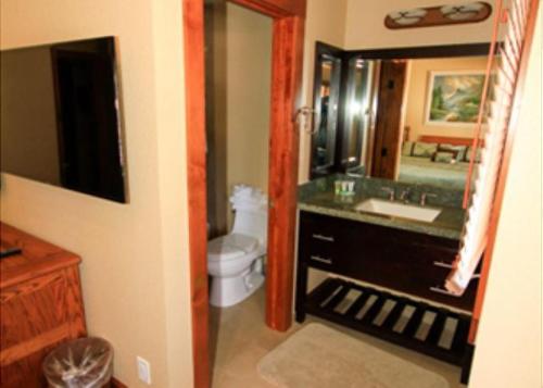 Een badkamer bij Mountainback #79, Loft, Den