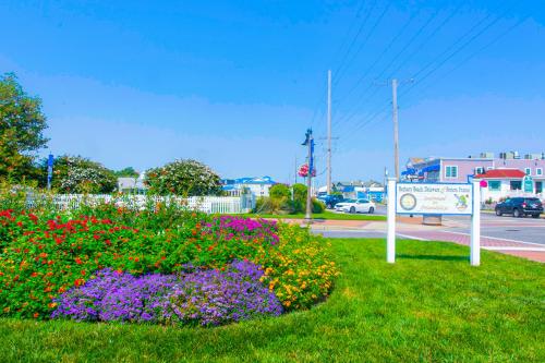 Sandy Pines -- 424B Sandy Pines – Photos 3