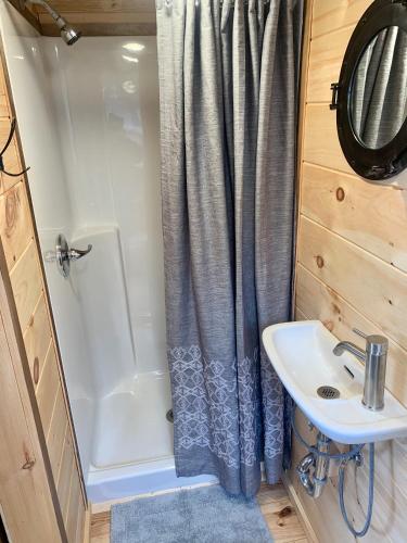 a bathroom with a shower and a sink at Riverbottom - Tiny Home 2 in Bellevue