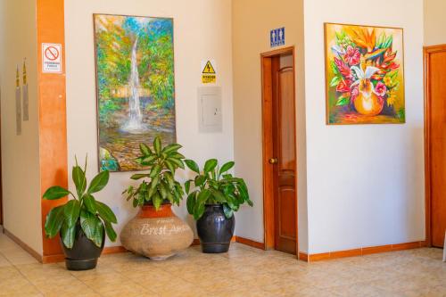 three potted plants in a hallway with paintings on the wall at Residencial Brest Amazon Tarapoto in Tarapoto
