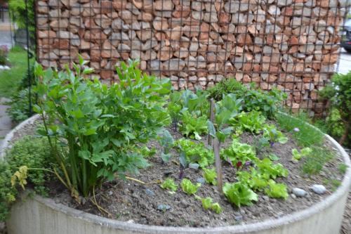 a planter filled with plants in front of a wall at Gästehaus Reichholf in Neukirchen am Großvenediger