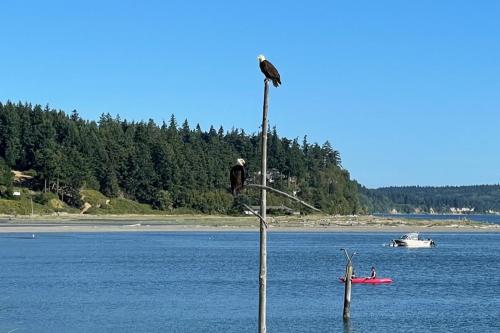 two birds sitting on top of a pole in the water at Sunlight Beach Shoreline in Clinton