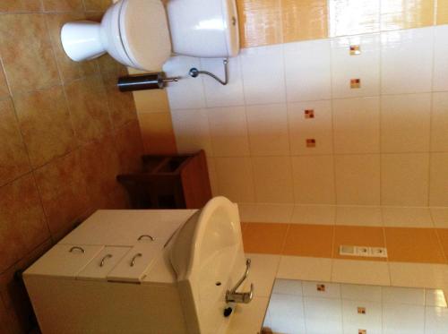 a small bathroom with a toilet and a sink at Ubytovanie Anka Sučanská in Čachtice