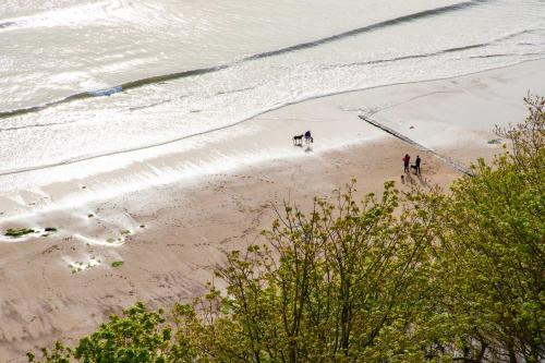 a group of people and a dog on a beach at The Caledonian New Southlands Hotel in Scarborough
