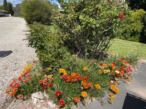 a garden with colorful flowers on the side of a road at Byer Fountain Motor Inn in Holbrook