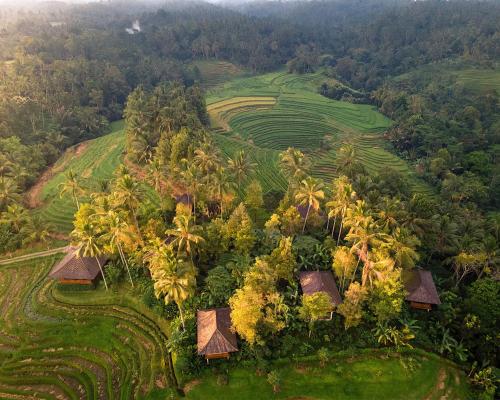 an aerial view of a resort with palm trees at Clove Tree Hill in Blimbing
