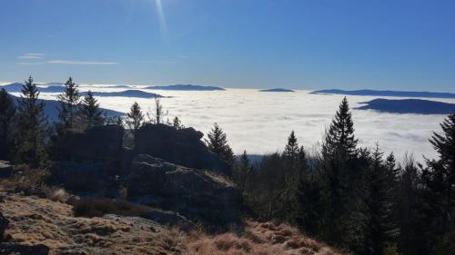 a view of the clouds from the top of a mountain at Ferienwohnung Wildgatter in Grafenwiesen