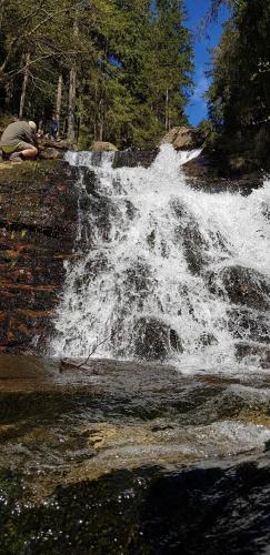 a waterfall on the side of a river at Ferienwohnung Wildgatter in Grafenwiesen