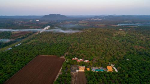 an aerial view of a forest with a farm at Sterling Gir in Sasan Gir