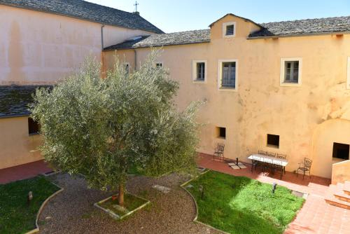 a tree in the courtyard of a building at GITE DU COUVENT-Scala in Canari