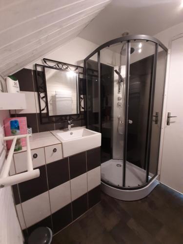 a bathroom with a shower and a sink at Gite les Courtaillards in Couches