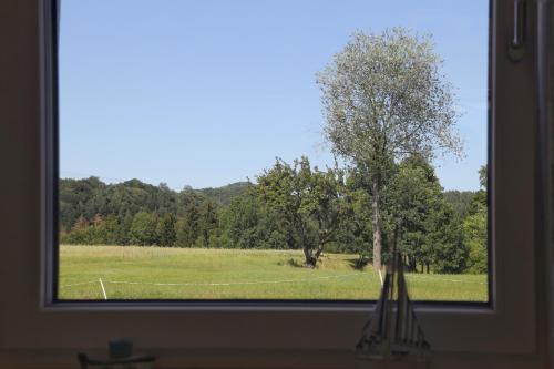 a window view of a field with a tree at Auszeit mit Weitblick in der Sächsischen Schweiz - kleiner Bauernhof mit Tieren und Wallbox in Rathmannsdorf