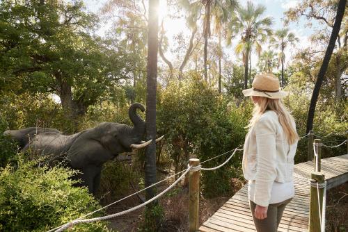 a woman standing on a bridge looking at an elephant at Victoria Falls River Lodge in Victoria Falls