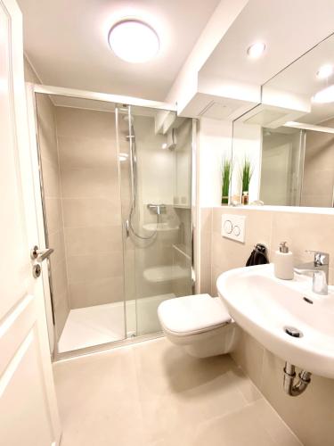 a bathroom with a shower and a toilet and a sink at Großes Mollymook in Wenningstedt