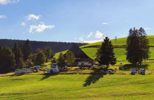 duże zielone pole ze stodołą w tle w obiekcie Zum Wilden Michel w mieście Oberlinach