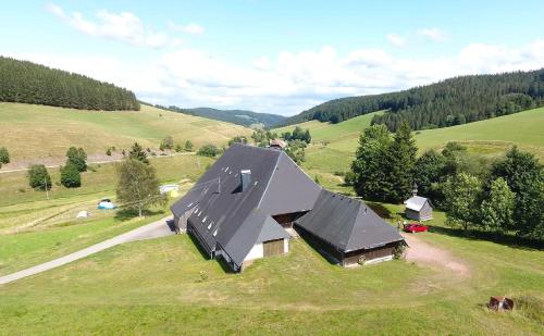une vue aérienne sur une maison dans un champ dans l'établissement Zum Wilden Michel, à Oberlinach