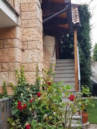 Il giardino segreto – Photos 3