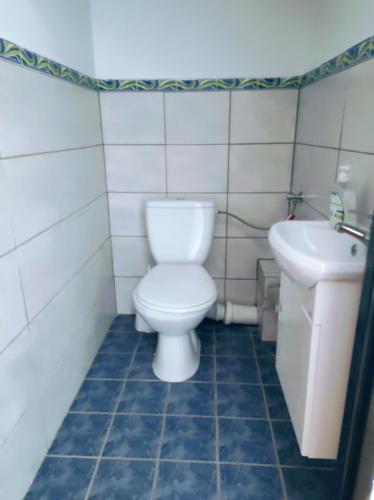 a bathroom with a toilet and a sink at Pokoje u Marii i Piotra in Brzozów