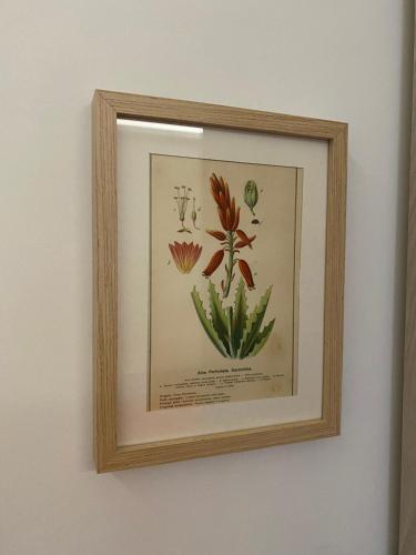 a framed picture of flowers on a wall at B&B Il Giardino Nascosto in Roseto Valfortore