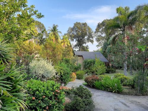 Taman di luar Bansuanrachawadee B&b
