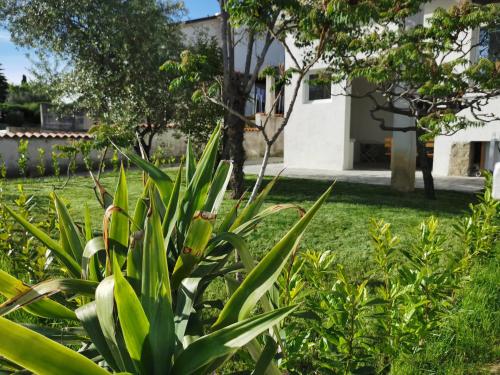 a garden with a house in the background at House Katarina in Ankaran