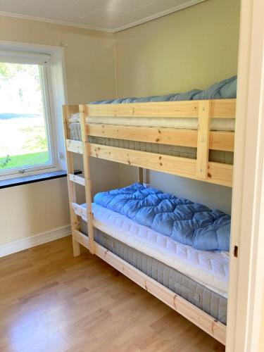 a bunk bed in a room with a window at Skovly FerieCenter in Humble