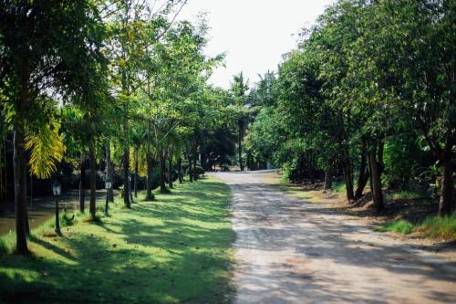 a dirt road with trees on both sides at Baan Klong Resort in Damnoen Saduak