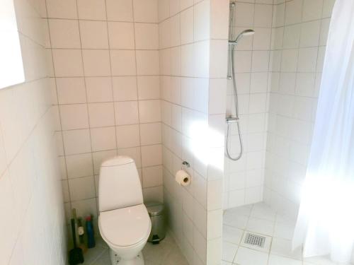 a bathroom with a toilet and a shower at Skovly FerieCenter in Humble