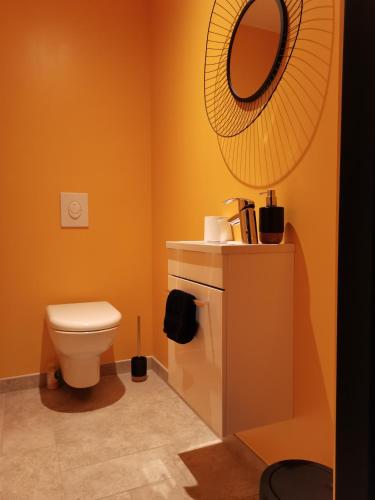 a bathroom with a toilet and a mirror at Les Iris - gîte insolite troglodytique in Trôo
