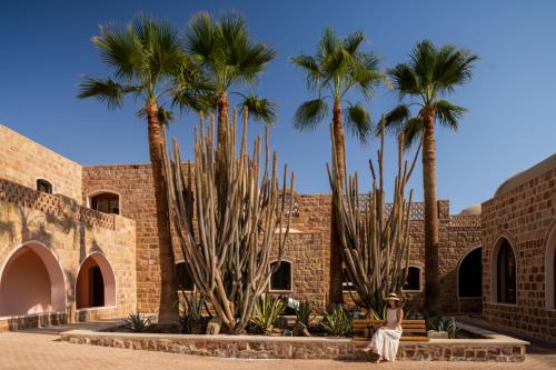 Fotografie z fotogalerie ubytování Movenpick Resort El Quseir v destinaci Quseir