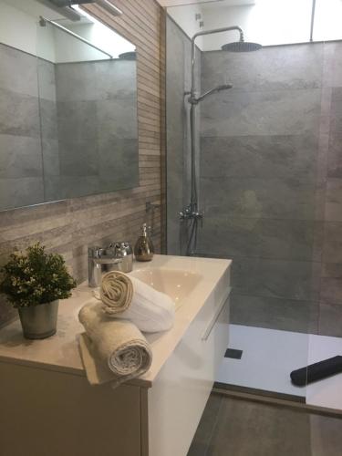 a bathroom with a sink and a shower at CASA BEATRIZ in La Orotava
