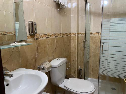 a bathroom with a toilet and a sink and a shower at Rritja e Koranit in Pogradec