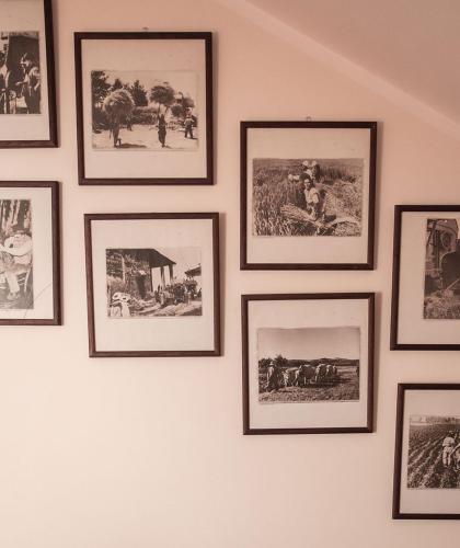 Gambar di galeri bagi Residenza Cesare di Campobasso
