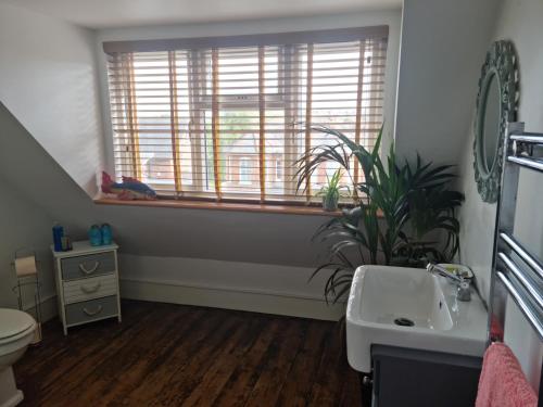 a bathroom with a sink and a toilet and a window at Spacious top floor suite top of Edwardian house in Hastings