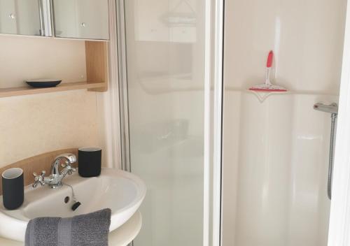 a bathroom with a sink and a shower at Tranquil 6 Berth Luxury Holiday Home in Chichester