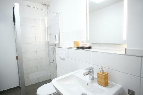 a bathroom with a sink and a toilet and a mirror at Landhaus Osterrade in Bovenau