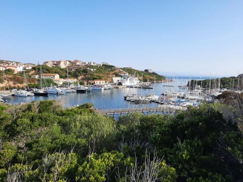 un puerto deportivo con barcos atracados en el agua en Villette Panoramiche Filetta, en Santa Teresa Gallura