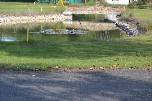 a body of water with a bunch of objects in it at Adela´s Czech Village House in Všejany