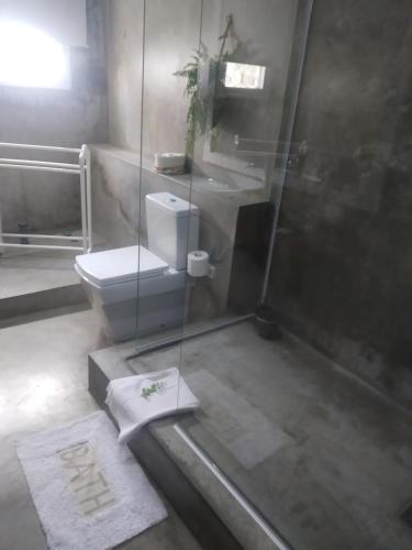 a bathroom with a toilet and a sink and a shower at Acacia Inn GuestHouse in Maputo