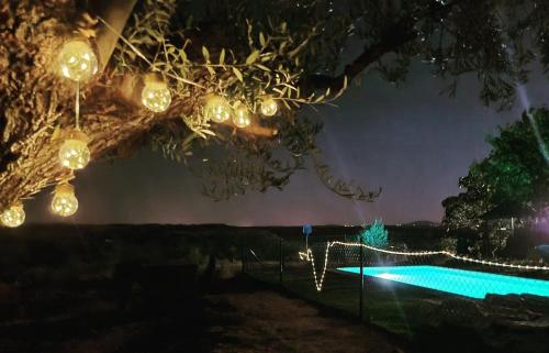 Πισίνα στο ή κοντά στο FINCA VALDELAJARA a 20 minutos de Puy du Fou