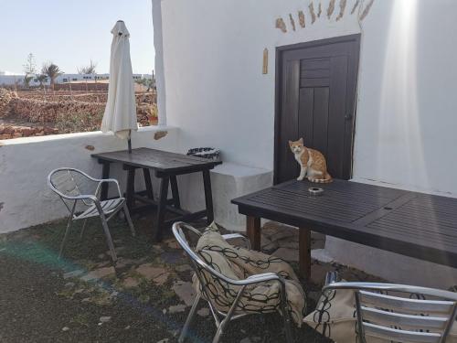 Φωτογραφία από το άλμπουμ του Villa Cecilio σε Tefía