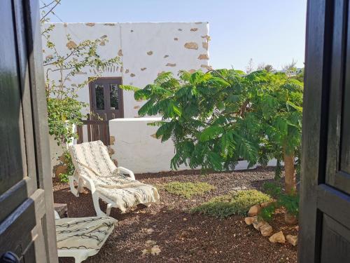 Κήπος έξω από το Villa Cecilio